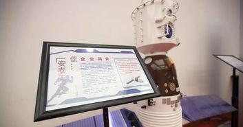 寶坻造 的這些產品,全國出名了